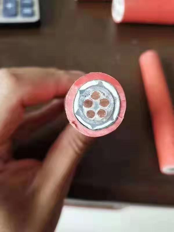 聚氯乙烯絕緣變頻電纜